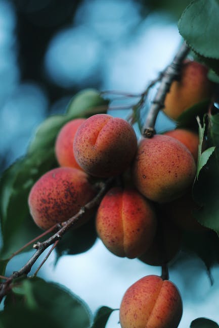 Apricot for Dark Spots