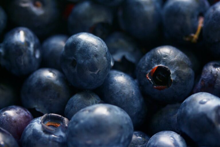 Bilberry for Dark Spots