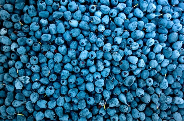 Blueberry for Dark Spots