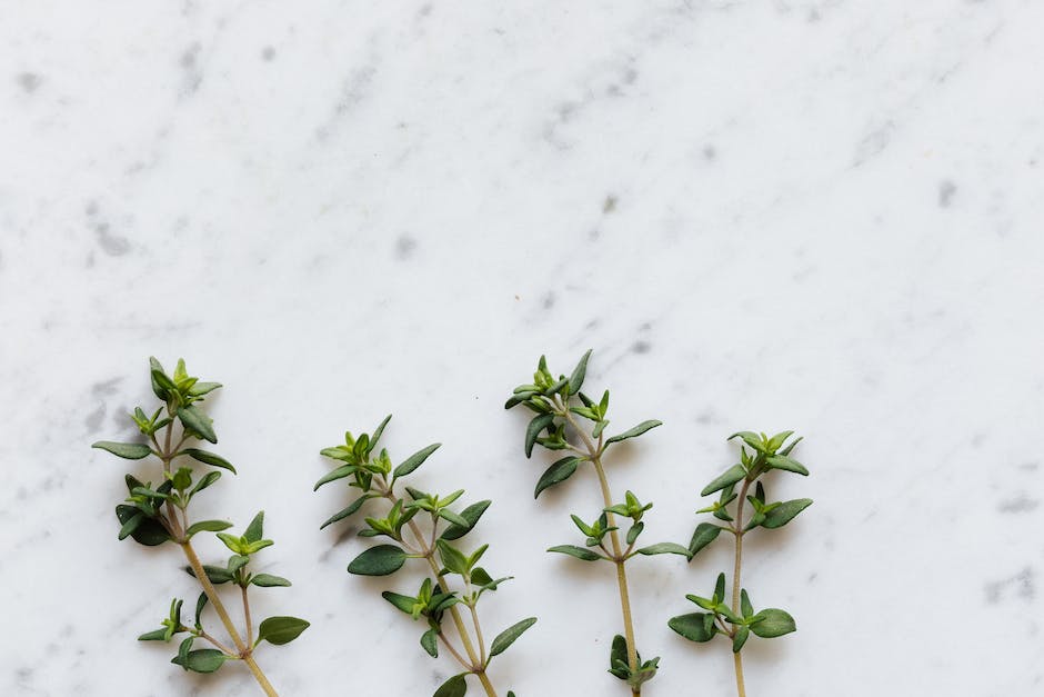 Thyme for Dark Spots