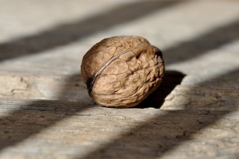 Walnut for Dark Spots